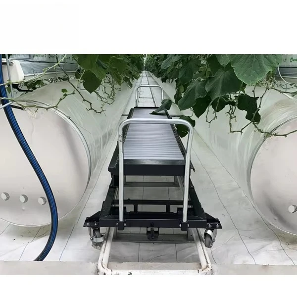 Greenhouse Tomato Picking Harvesting Cart