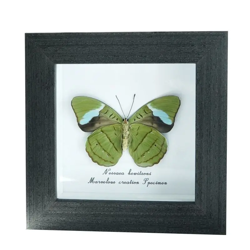 Blue Ribbon Duck Nymph Butterfly Specimen Three-dimensional Handmade Ornament Decorative Picture Frame
