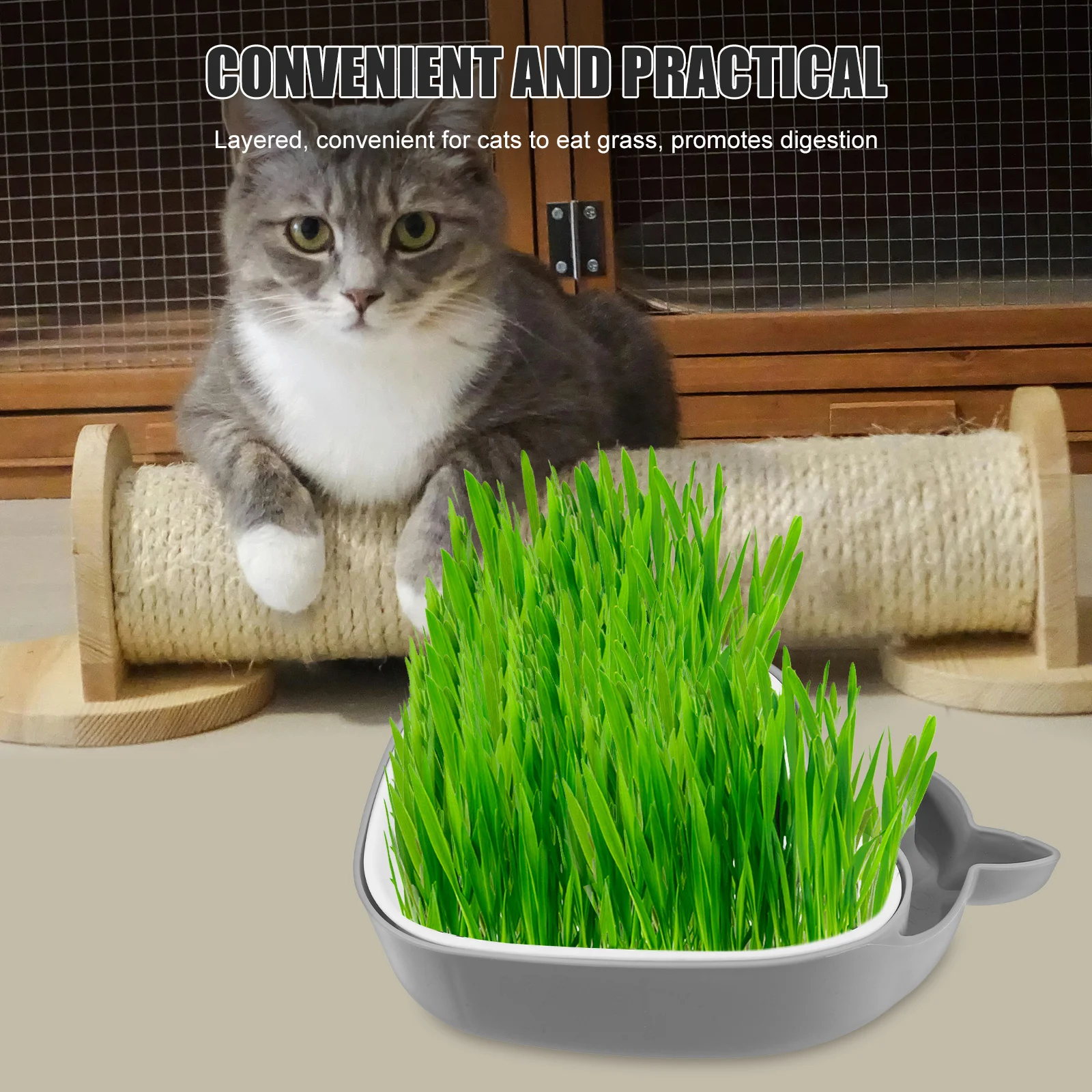 

Cat Grass Box Planter Hydroponic Grey Soilless Container Double Layer Design Easy ABS Promotes Digestion Pet Use