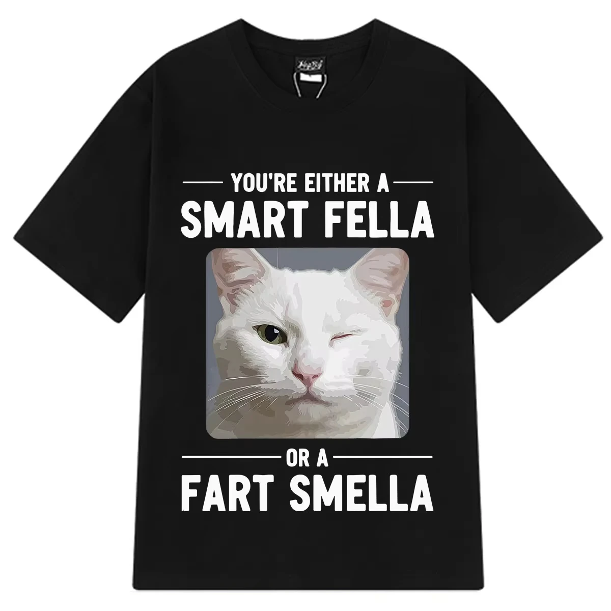 Winking Cat Smart Fella or A Fart Smella Funny Meme Tshirt Men Women Aesthetic Trendy Short-sleeved Cotton Loose Casual T-shirts