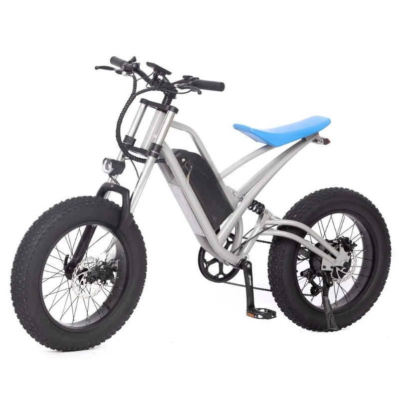 

Variable speed folding power bike mountain bike