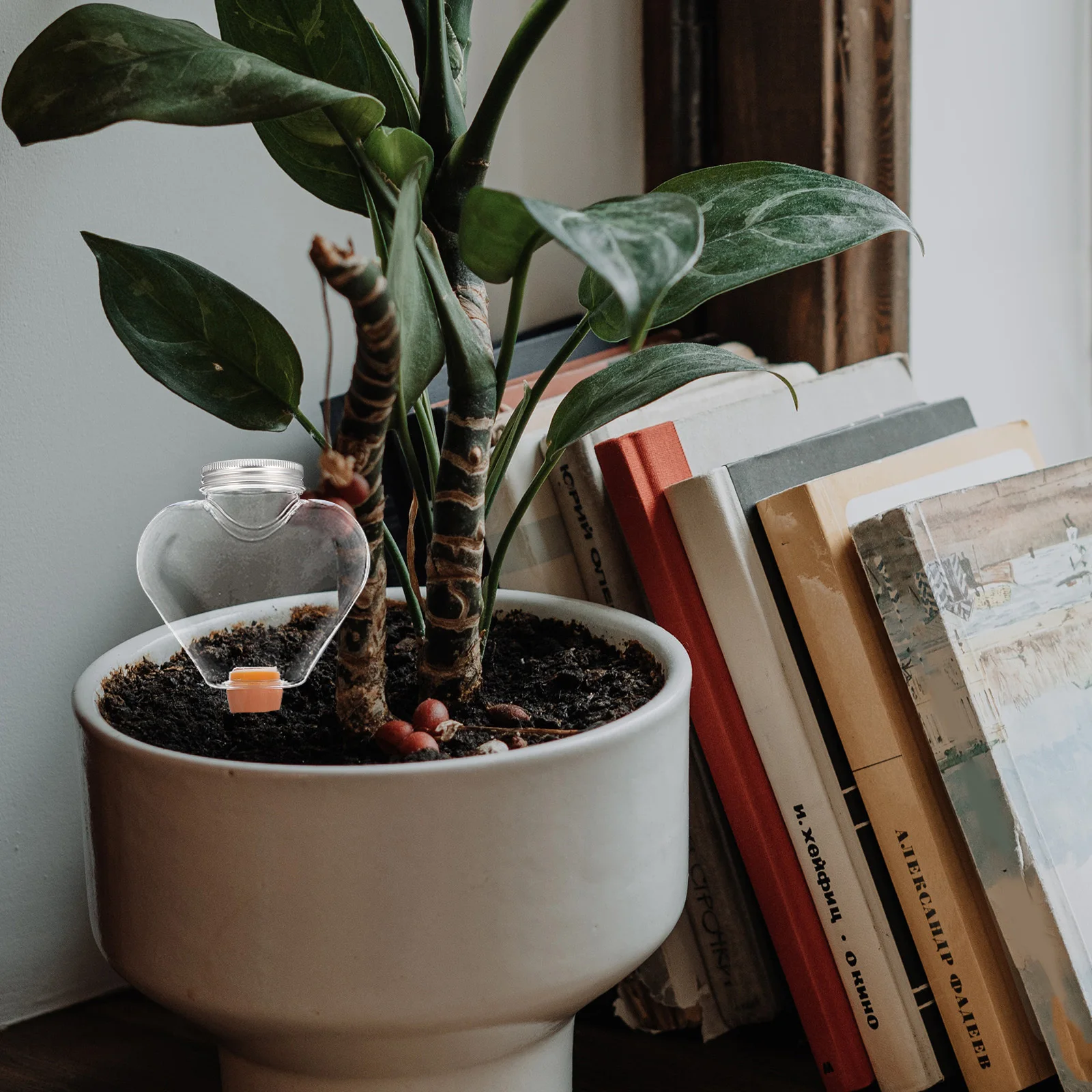 

Automatic Watering Device Plastic Self-Watering Globe For Plants Garden Flower Irrigation Tool Ball Shape Water-Saving Lazy