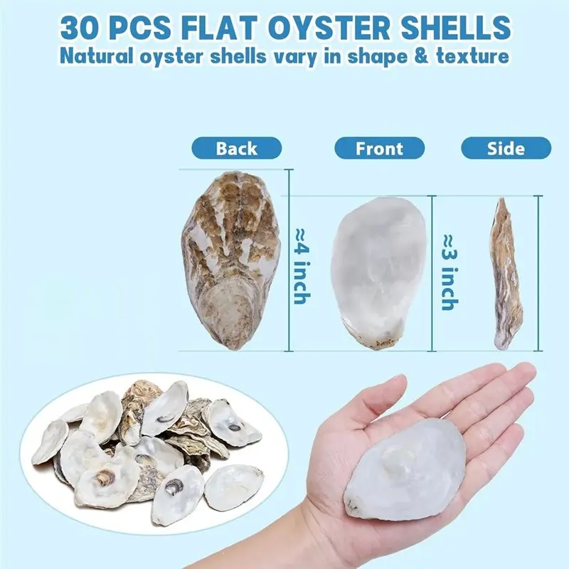 ABHI-Flat Oyster Shells(30PCS), Natural Seashells For Crafts, Beach Wedding Decor& Christmas Ornament Decoupage view 5