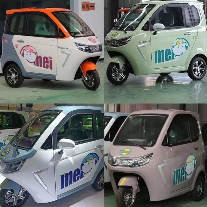 High Quality Comfortable Adult Electric Tricycle with Closed Body