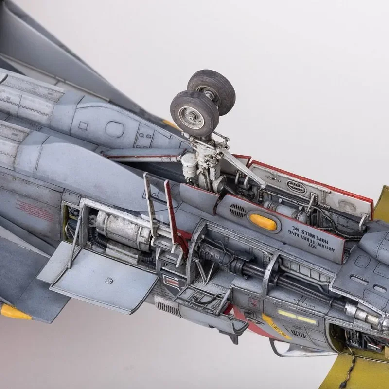 AMK MODEL Kunststoff-Montagemaßstabsgetreuer Modellbausatz 48003 F-14D Super Tomcat Special Edition (Kunststoffmodell) 1/48