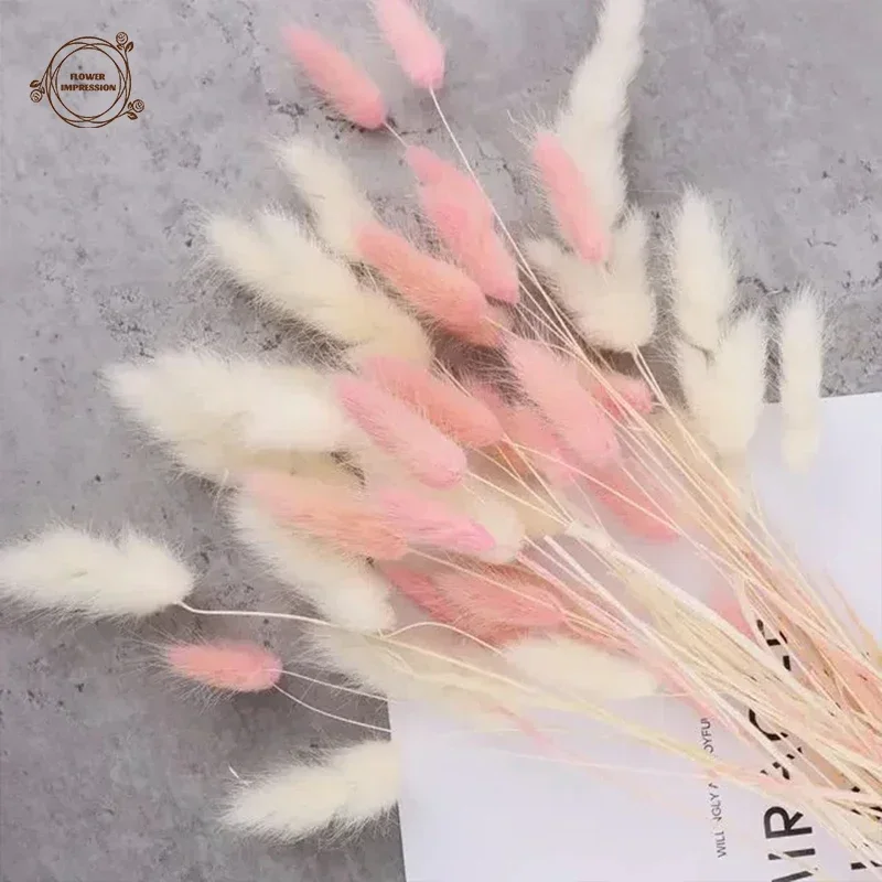 60pcs Dried Flowers Rabbit Bunny Tails Grass Mix Bouquets Wedding Party Decoration Natural Fluffy Lagurus Ovatus Boho Home Decor