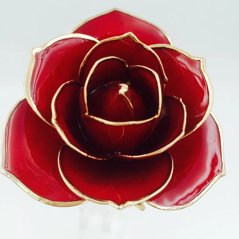 30cm Trimmed Red Color Gold Dipped Natural Real Rose with Radiant Finish for Valentines Day Gifts