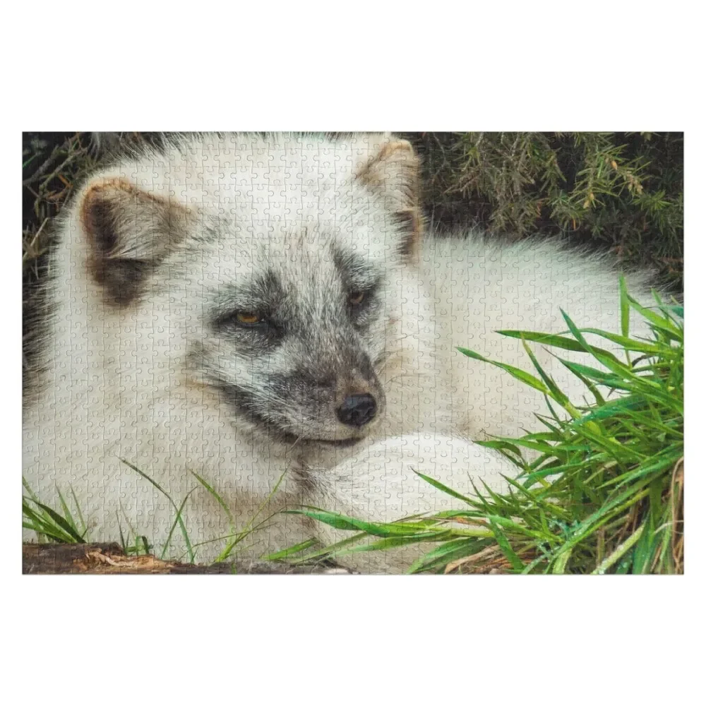 

Arctic Fox Jigsaw Puzzle For Children Personalize Puzzle