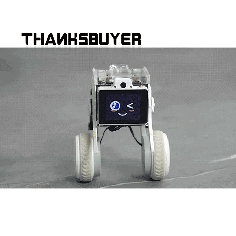 Rider-Pi Robot de escritorio con patas de dos ruedas, perro robot autoequilibrado con cámara de 5MP y Raspberry Pi CM4