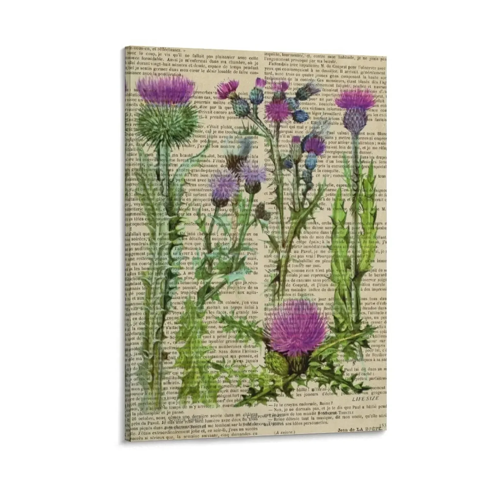 

Botanical print, on old book page Canvas Painting anime room decor Decoration for home home decor