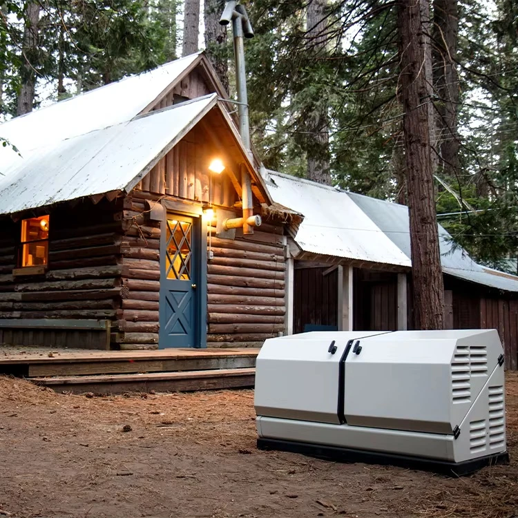 Hot Sale Champion 12KW 14KW Whole House Home Standby Generator