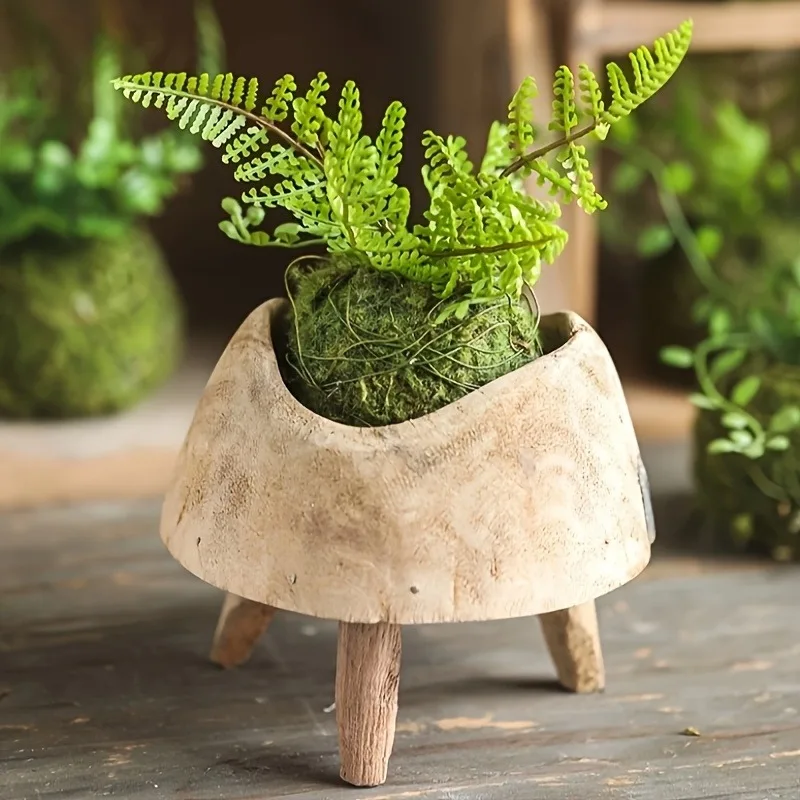Künstlicher Moosball-Pflanzgefäß, Natürlicher Grüner Bonsai-Pflanzenbehälter, Garten-Mikrolandschaft Dekorativer Moos-Topf für Haus und Garten D – Detail 4
