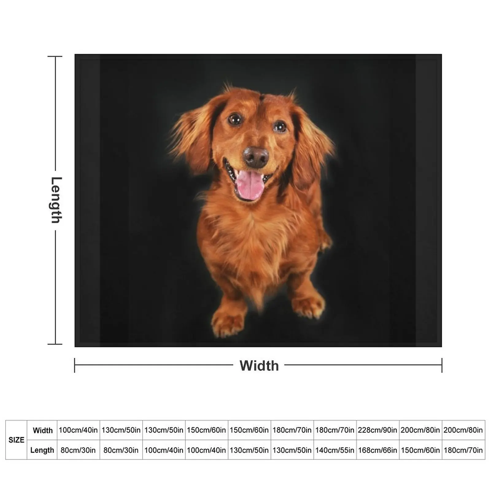 Dachshund long hair, dachshund looks funny Throw Blanket Cute For Baby Blankets