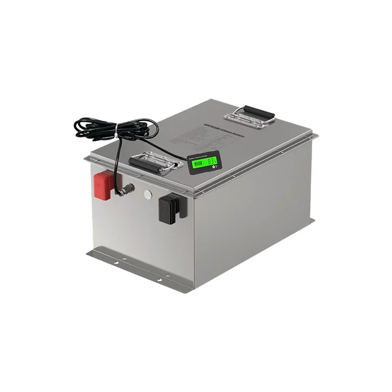 Deep Cycle 48v Marine Starting Lithium Battery 12v Box 36v 60ah 100ah 200ah 300ah 400ah Lifepo4 Battery with BMS