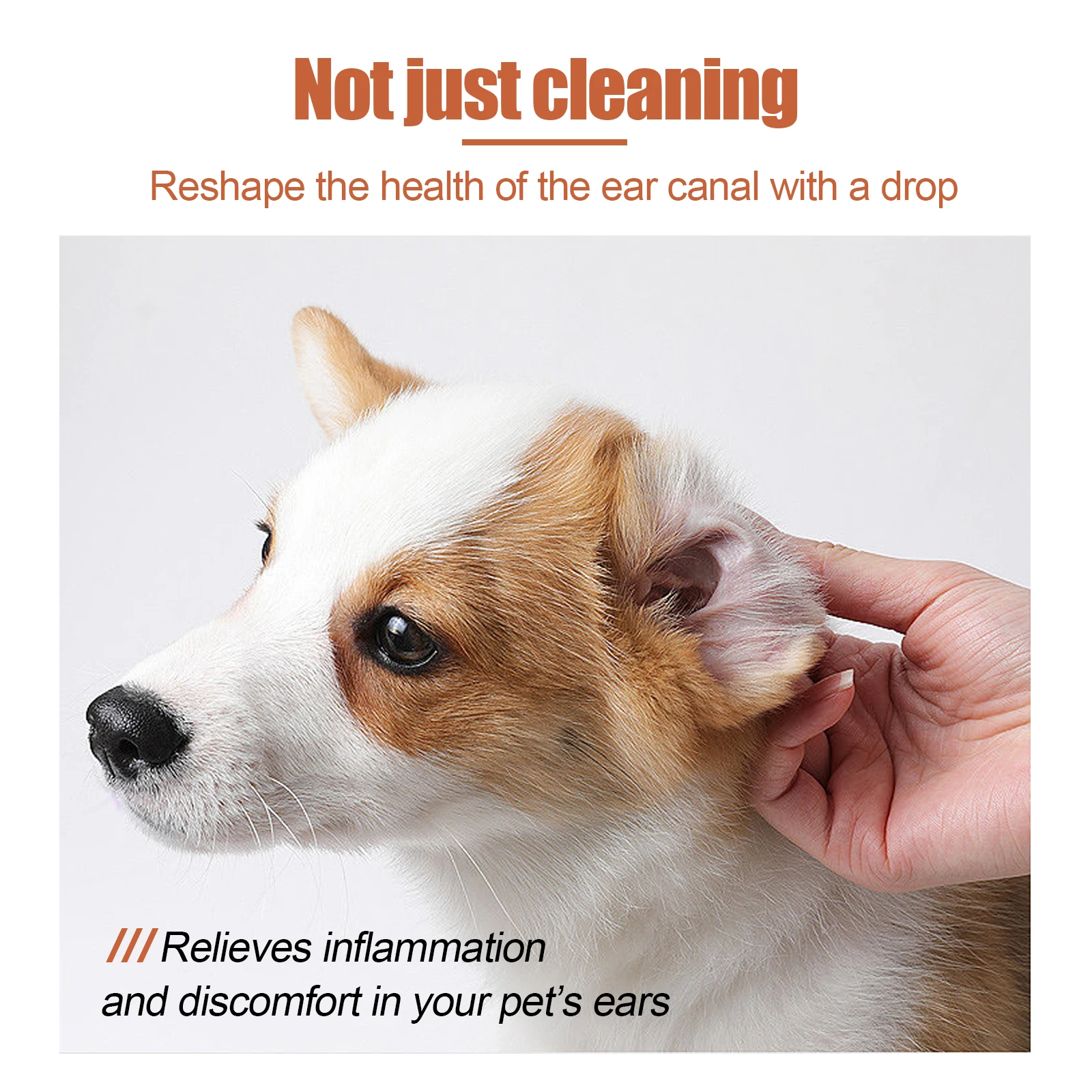 50ML Obat Tetes Pembersih Teli - Pet Ear Cleaner ulasan dan harga