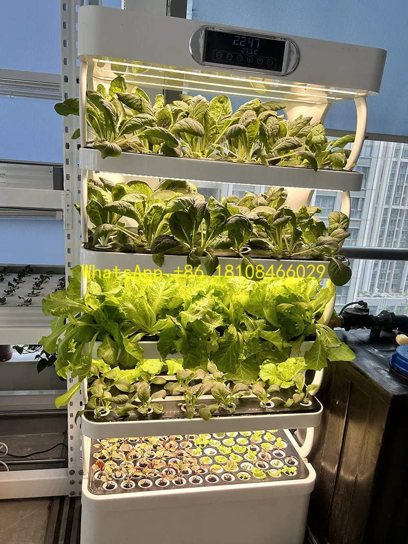 

Combined Hydroponic Herbs Vegetable Growing System Intelligent Hydroponic Tower Planting Cabinet With Good Shape Standing