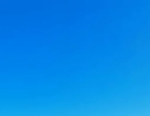 

Out of stock Out of stock