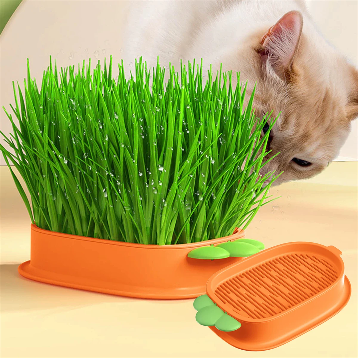 1Pc Carrot Shape Cat Grass Planter Box Two Layers Plant Germination Tray Hydroponic Culture Cat Grass Catnip Seed Starting Tray