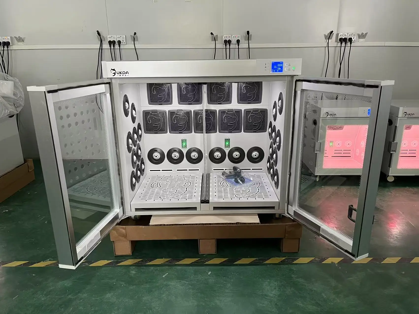 Professional Automatic High Velocity Stainless Steel Pet Dryer Box Low Noise Antibacterial Cats Dogs