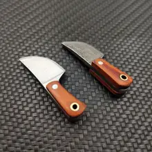 Mini Damascus Coating Kitchen Knife #4