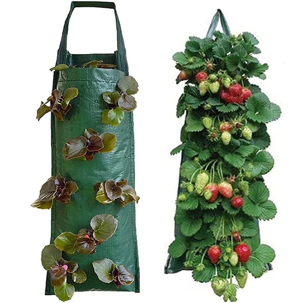 

Strawberry Growing Bag Vegetable Planting Bag Grow Pot Plant Grow Bag Garden Terrace Multi-mouth Container Bags 60X25cm