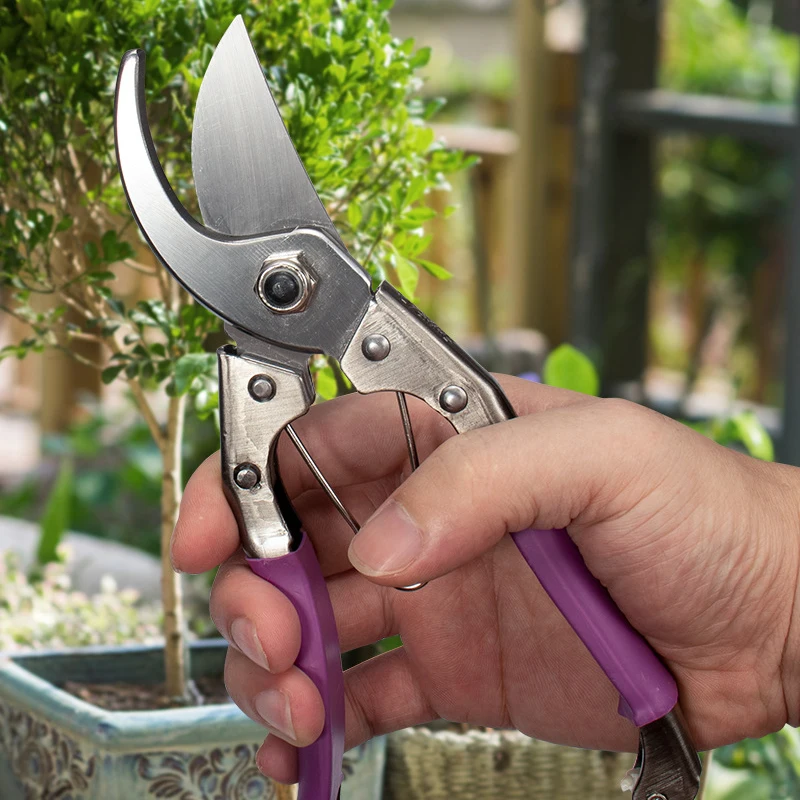 Cesoie da potatura per alberi pieghevoli con impugnatura morbida di grado industriale Cesoie e forbici da potatura Manico in plastica