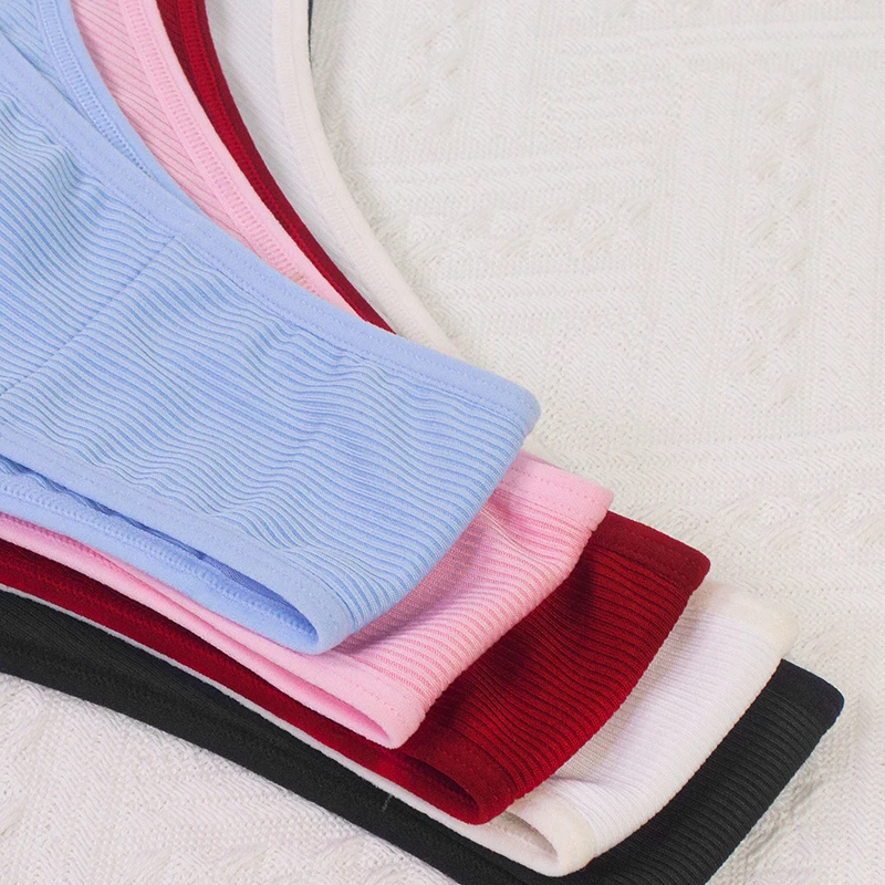 5pcs Ribbed Sexy Women Panties Low Waist Seamless Lady Briefs Breathable Comfortable Solid Underwear Underpants