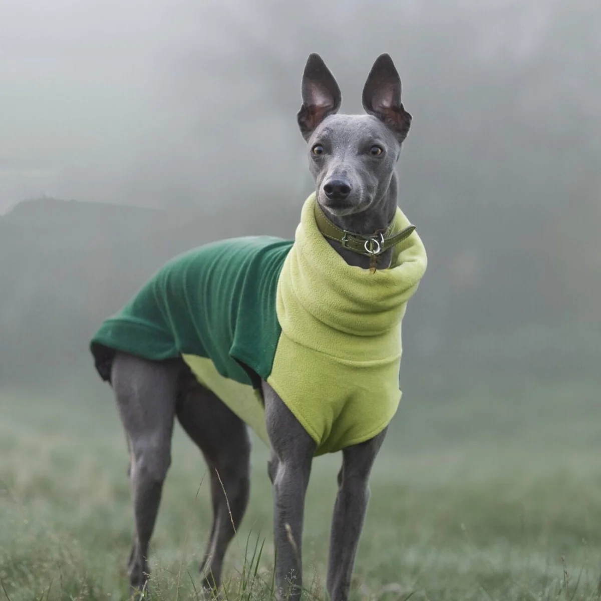Green Fleece Turtleneck Sweatshirt for Greyhounds Autumn Thick Warm Coat for Whippet Winter Soft Purple Vest for Mid Large Dogs