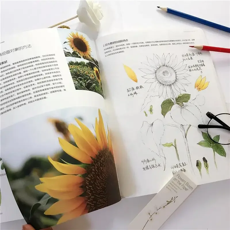 Flower painting open color lead flower tutorial book zero-based self-study colored pencil drawing primer illustration book