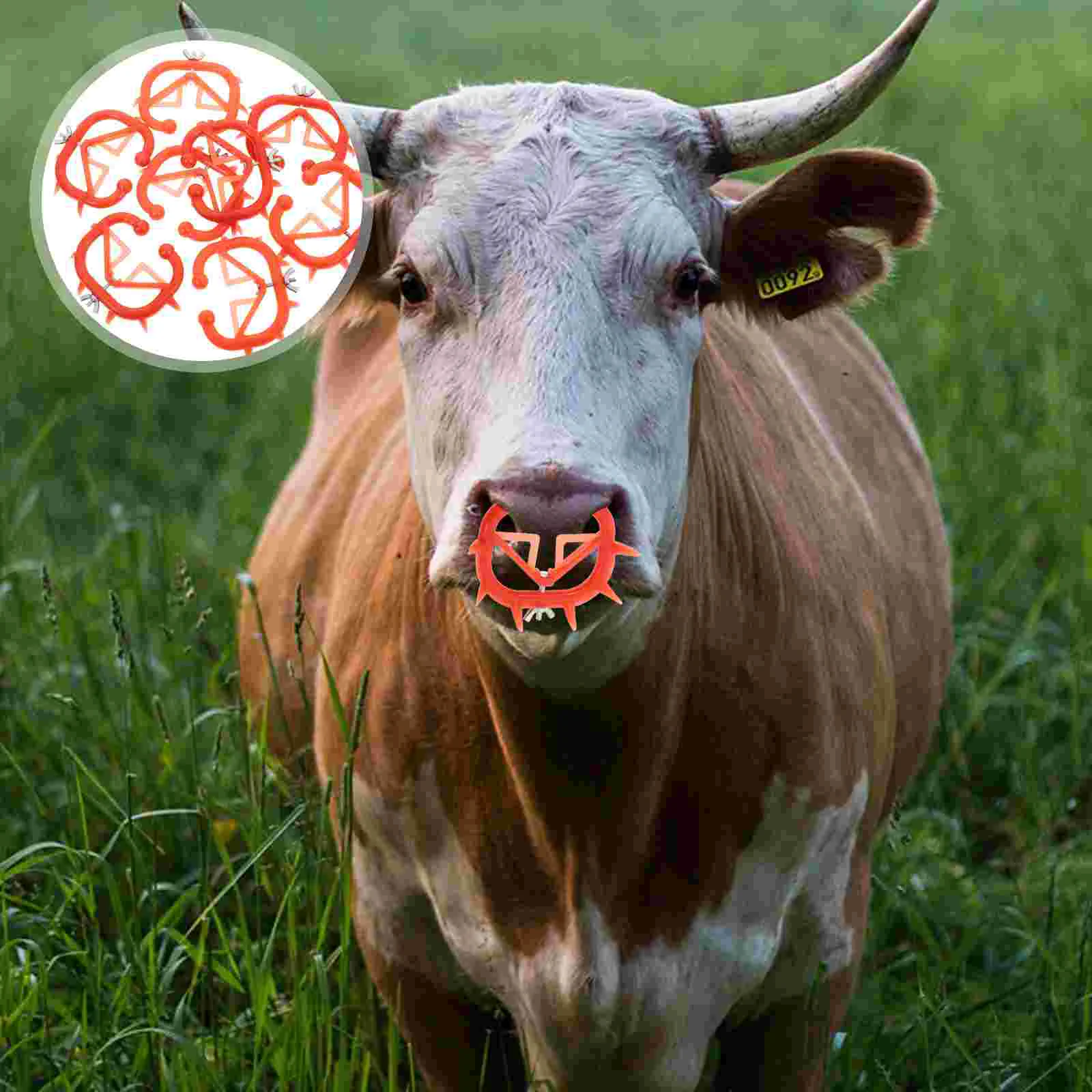 8 Pcs Bull Nose Ring Cow Rings Livestock Ear Tags Collars for Cattle Handle Portable Calf Clip Weaner Weaning Tool Tail Baby