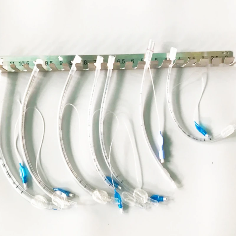 Animal tracheal intubation bracket tracheal intubation bracket pet tracheal intubation storage bracket