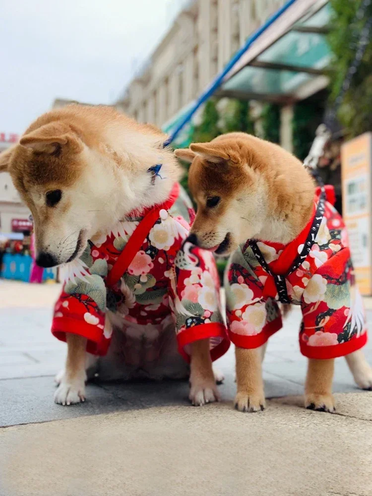

Autumn and Winter Cat Japanese Kimono Small and Medium Puppy Cat Dog Two Feet Apparel