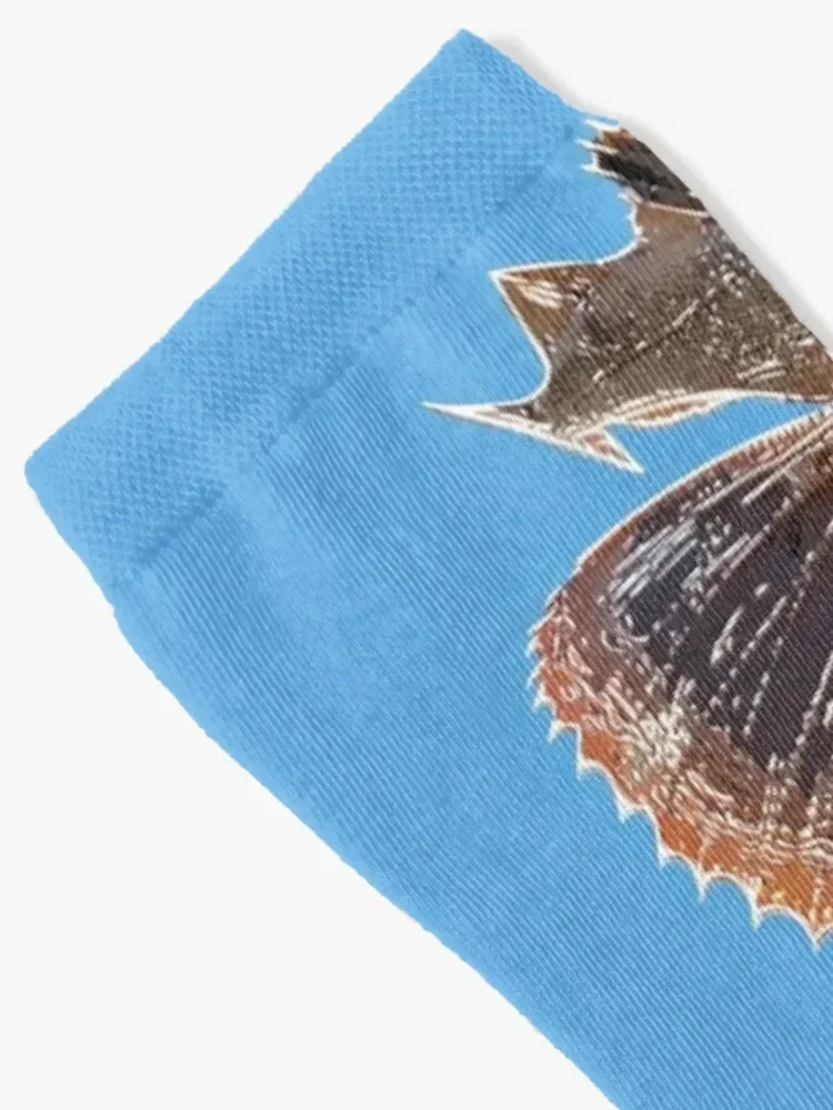 Striped Sea Robin Alternate Print Socks new in's custom Wholesale gym Girl'S Socks Men's