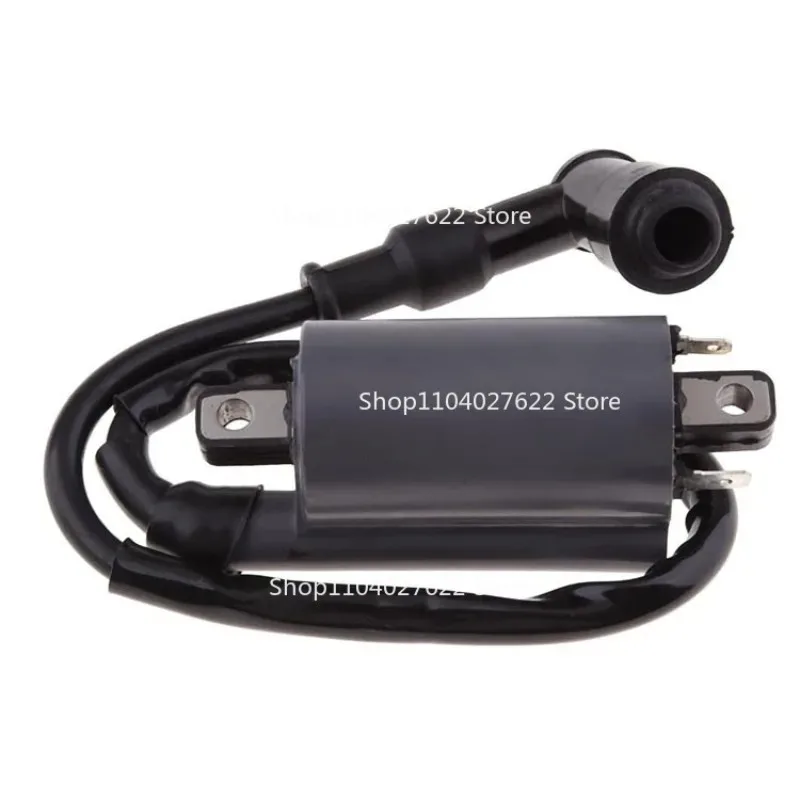 Ignition coil for Buyang 260 260cc 300cc D300 G300 Motor