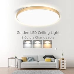 Golden Ceiling Light Living Room Chandelier Bathroom Panel Fixture Kitchen Lighting Hanging Lustre Home Decor Bedroom Led Lamps