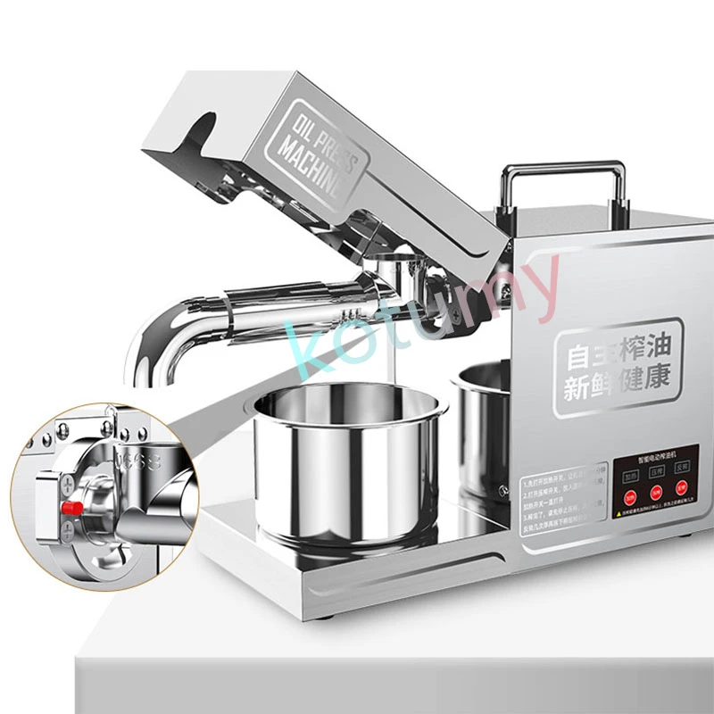 220V/110V B03 Oil P… - image