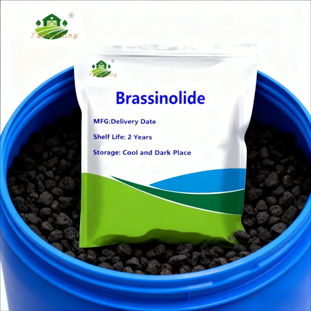 

High Quality Low Price Brassinolide Free Shipping Door to Door Service B R