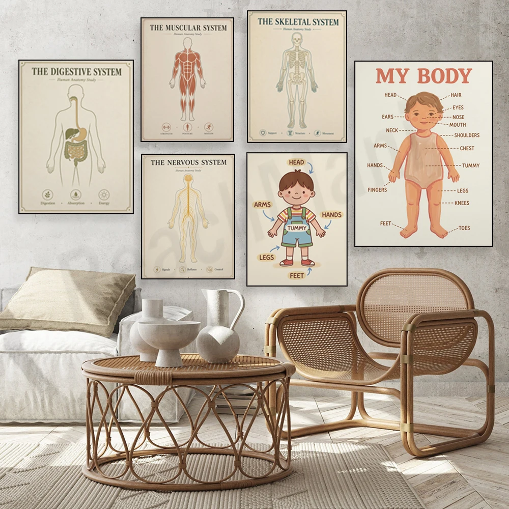 Cardiovascular, digestive, endocrine, urinary, nervous systems, pediatric anatomy, medical office and decorative posters