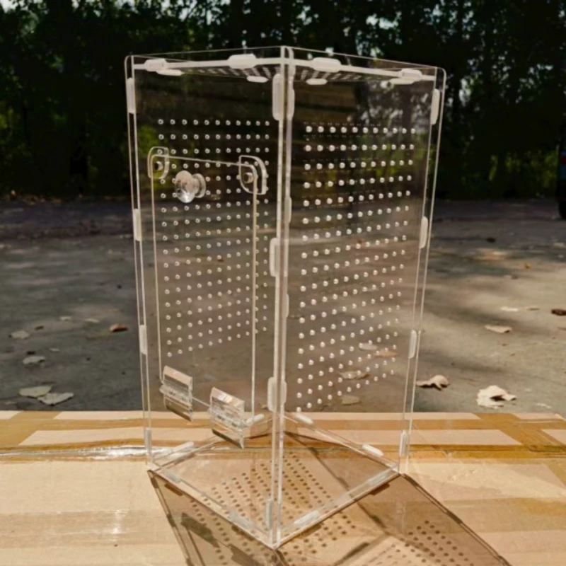 

Акриловый гусеничный террариум, прозрачный богомол, прыгающий паук, кормушка, защита от люка, вентилируемая маленькая коробка для домашних животных, гусеничный домик