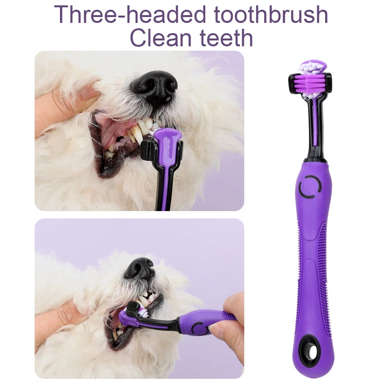 9-delige set schoonmaakgereedschappen voor huisdieren, kammen voor huisdieren, professionele nagelknipper, verzorgingsschaar voor honden, kattenkammen en handschoenen voor katten