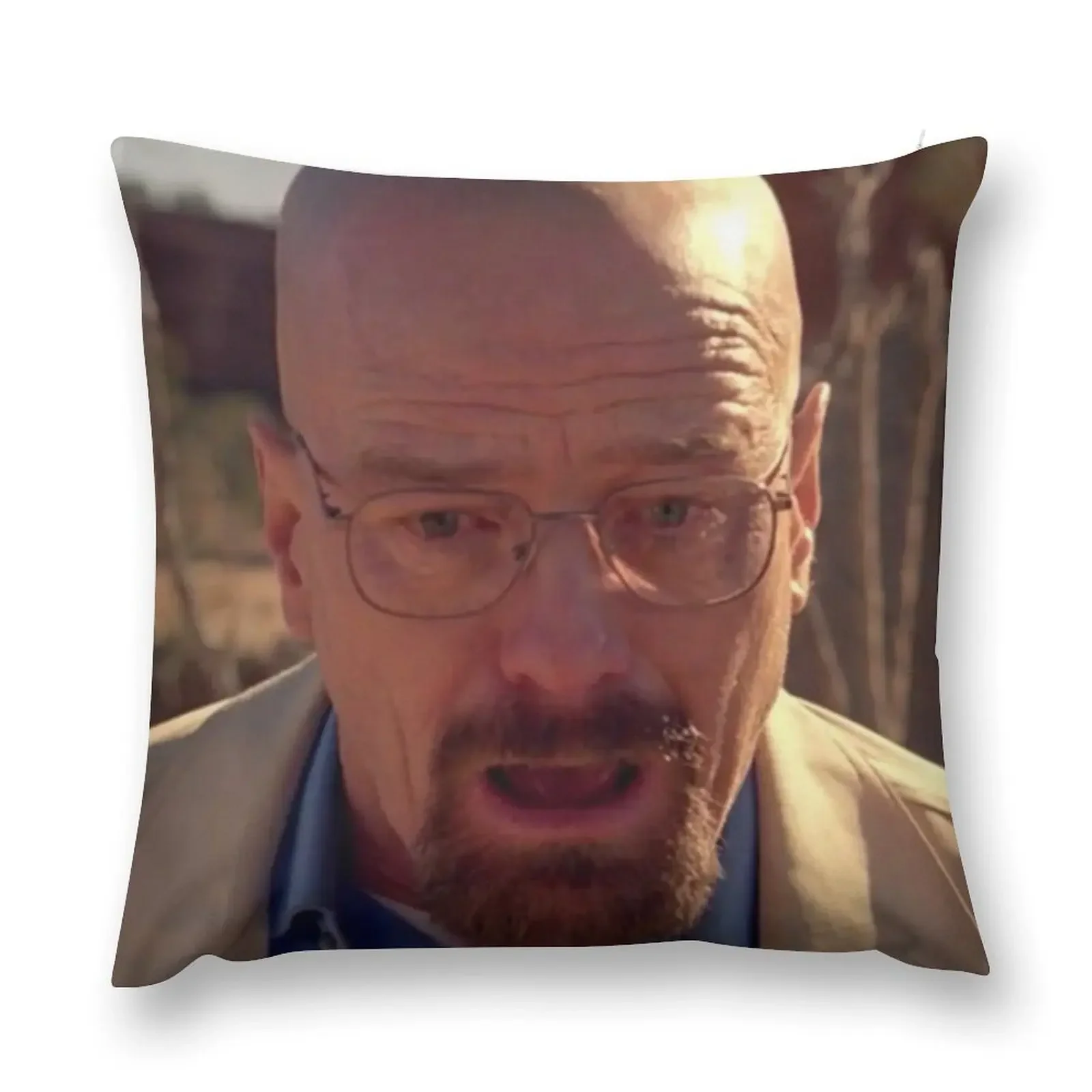 

Walter White Meme Throw Pillow Luxury Living Room Decorative Cushions Bed pillowcases Cushion Covers For Living Room pillow