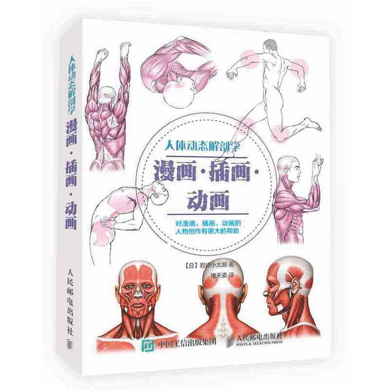 

New Human Body Drawing technique books Human Dynamic Anatomy : Comics, Illustrator, Animation