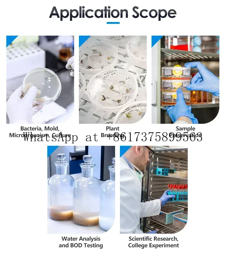 Loao 16-Well Real-Time PCR Detection System Precision Molecular Biology An azer