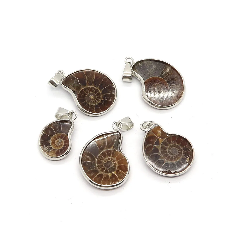 Natural Stone Shell Ammonite Snail Pendant 10-35mm Charm Vintage Making DIY Necklace Earrings Fashion Jewelry Boutique Accessory