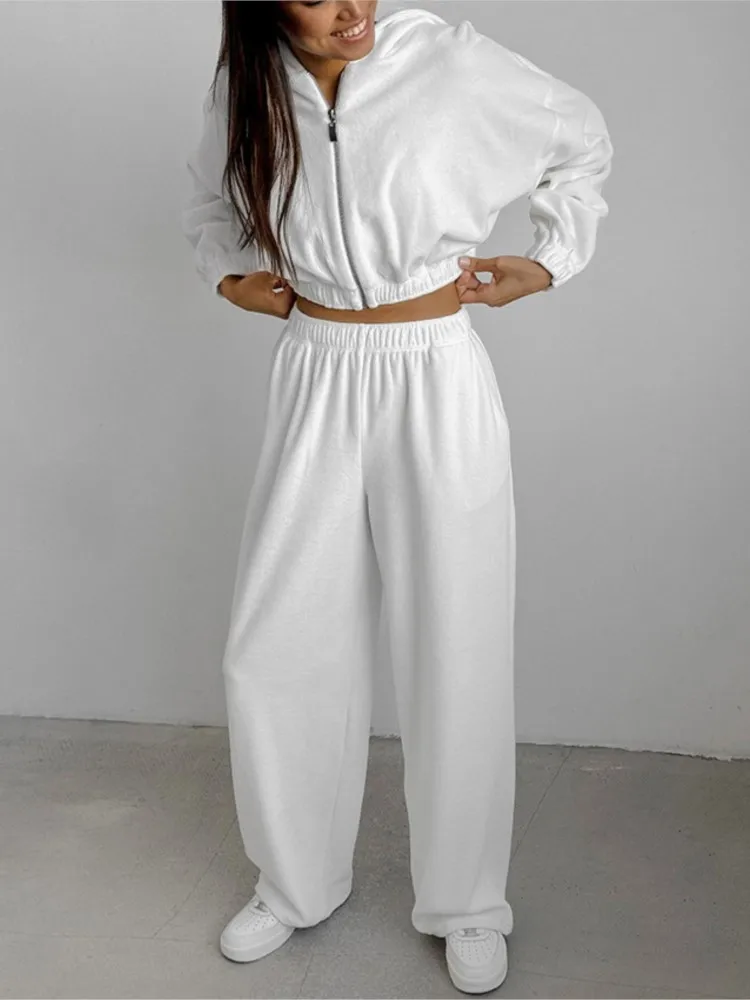 

Spring Autumn New Women Fashion Pants Sets Loose-Fit Hooded Stand Collar Sweatshirt 2-Piece Set Casual Style Set Female Clothing