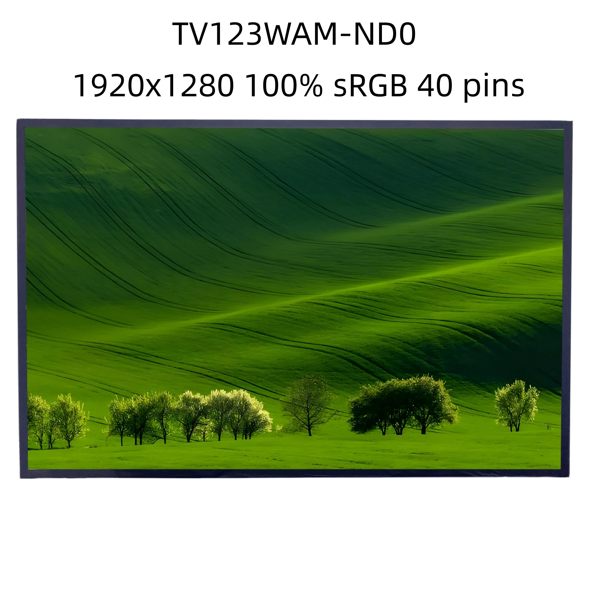

TV123WAM-ND0 Laptop LCD screen IPS 1920×1080 WLED eDP 12.3 Inch 40pins