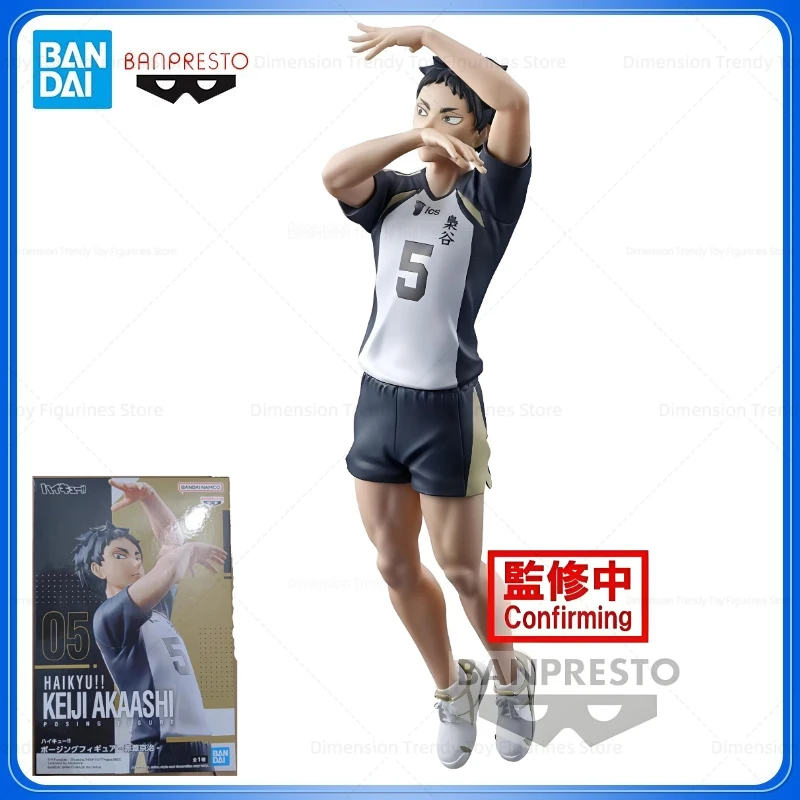 Bandai In Stock Banpresto Original Anime Haikyuu!! Keiji Akaashi Action Figure Model Toy Gift DT