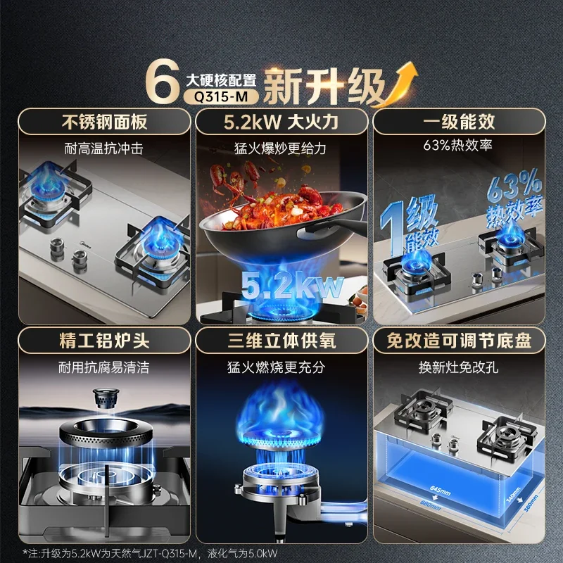 Stufa a gas per uso domestico in acciaio inossidabile gas naturale gas liquefatto doppia stufa incorporata protezione antincendio