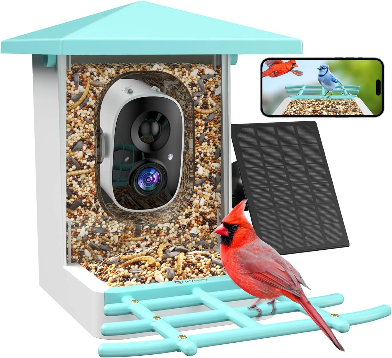 AI Bird Feeder with Camera, Identifies 16,000+ Species, Solar Powered, Wide View Motion Detection - Perfect Gift