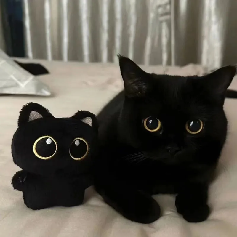 10cm Black Cat Plush Toy Pendant Cute Small Plushie Keychain for School Bag Decoration Plush Toy Doll for Brithday Gifts